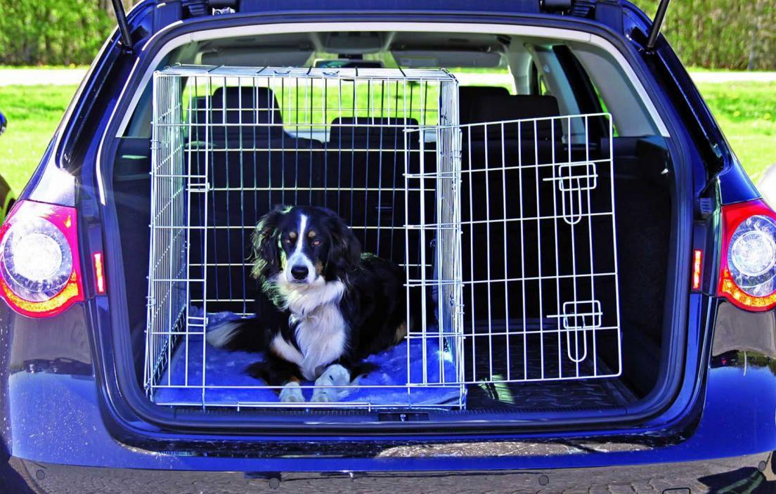 Transportines para perros para viajar en coche.
